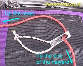 The cleat threaded on the halyard.